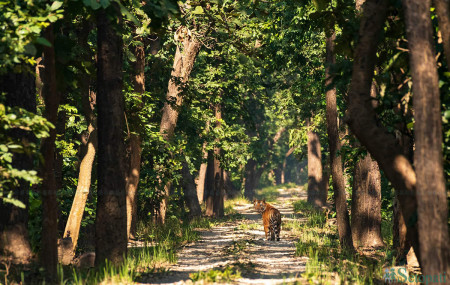 फाइल तस्बिरः सेतोपाटी